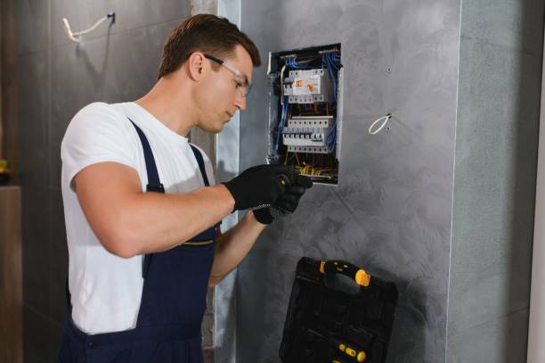 Best Electrical Upgrades for Homes  in Seville, FL