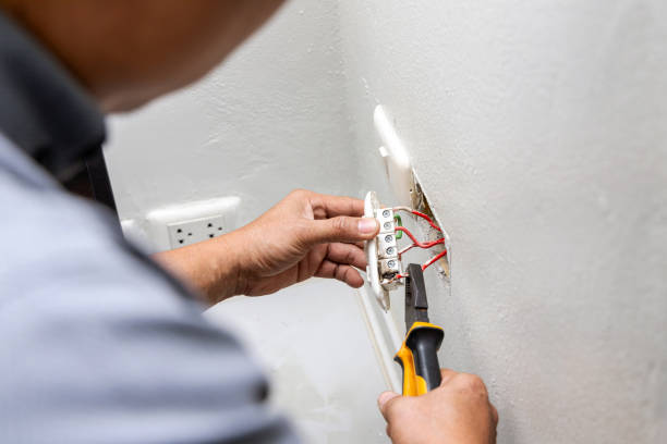 Best Electric Panel Repair  in Seville, FL